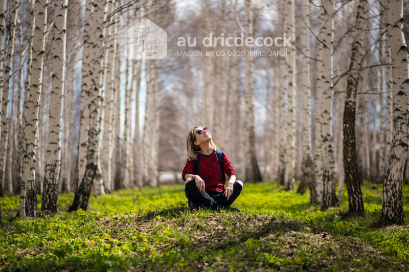Tailler un bouleau trop haut : techniques, période idéale et précautions indispensables