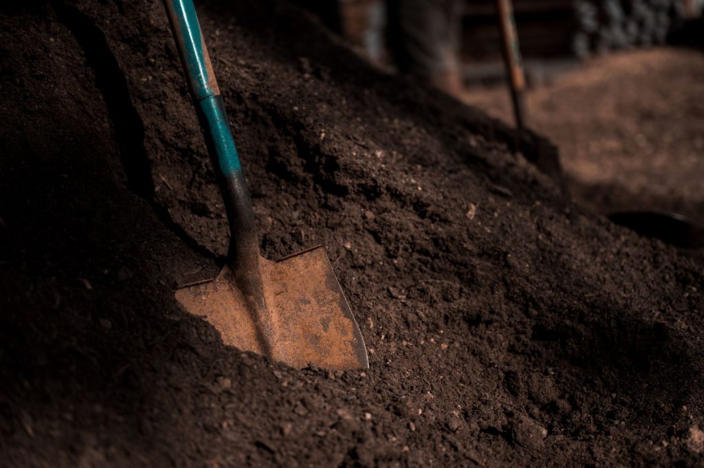 Sol de potager travaillé à la fourche-bêche en automne avec des résidus végétaux en surface