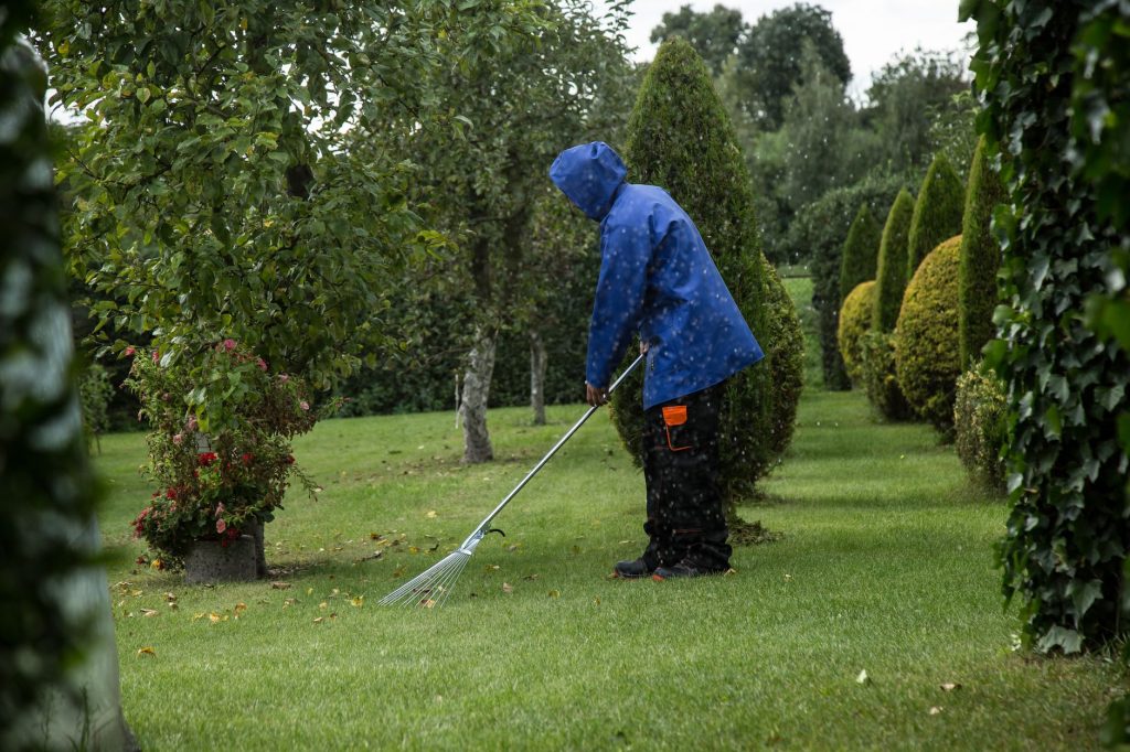 Un jardinier ratisse les feuilles mortes tombées sur une pelouse en automne