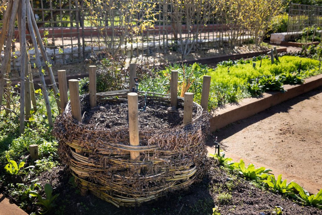 Composteur de jardin en osier installé au milieu d'un potager
