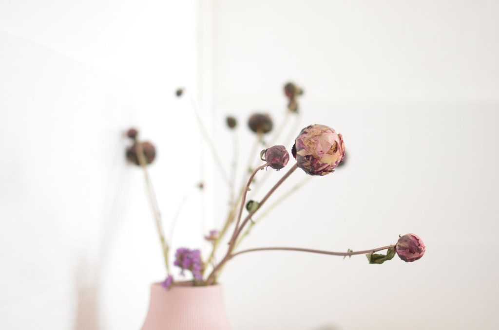 Bouquet de fleurs séchées d'automne dans un intérieur lumineux