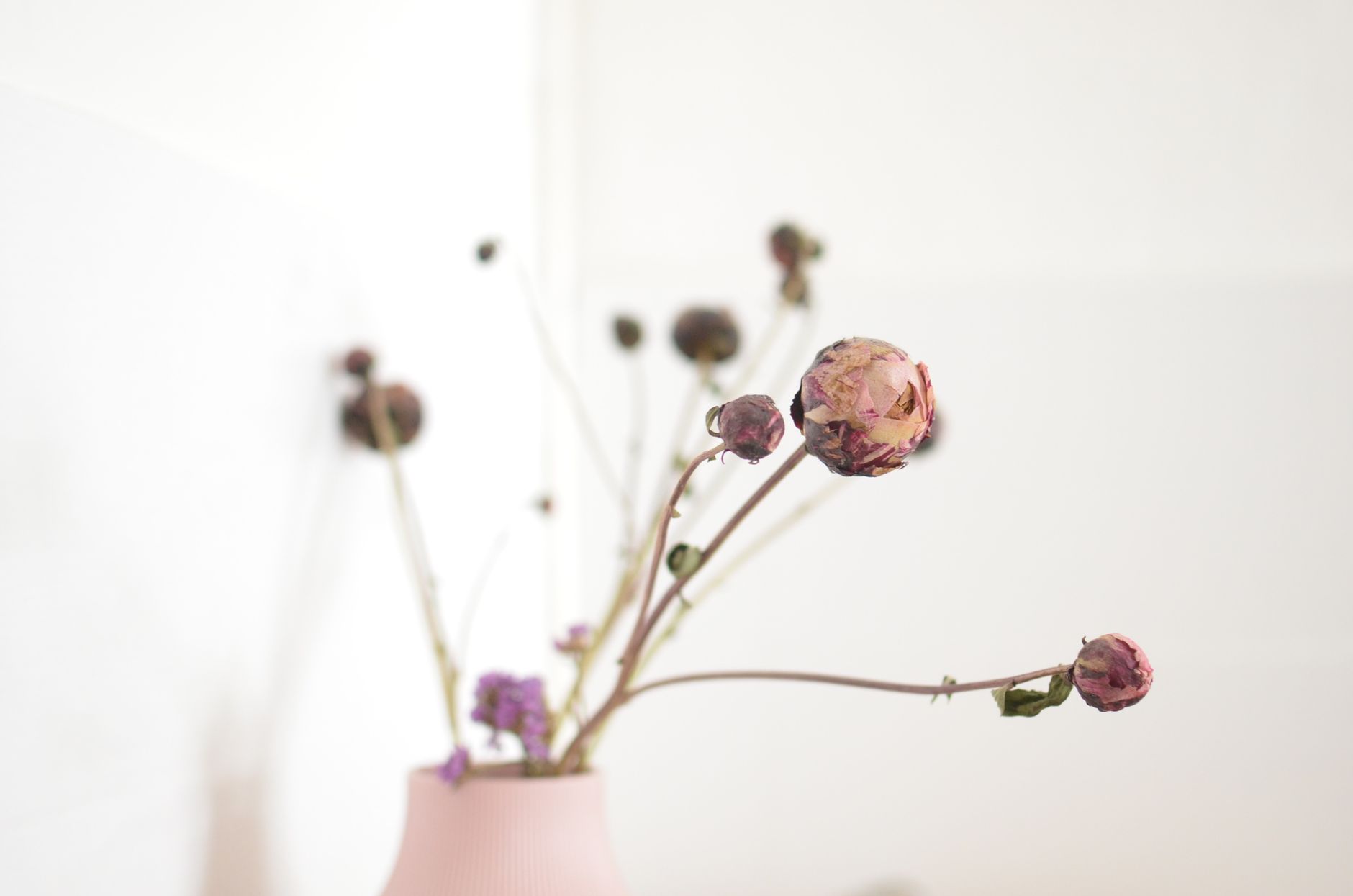 Bouquet de fleurs séchées d'automne dans un intérieur lumineux