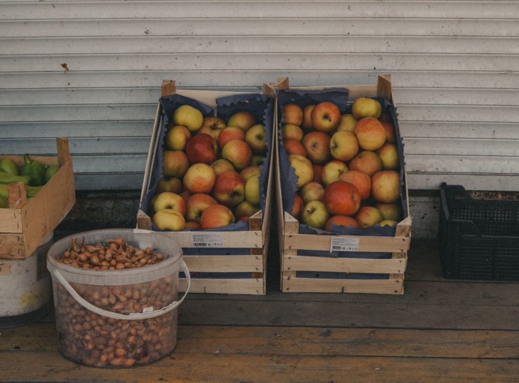 Pommes triées disposées dans une cagette en bois avant stockage