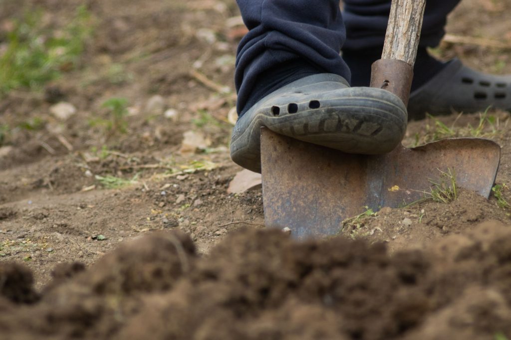 Pied sur une bêche pour creuser le trou de plantation